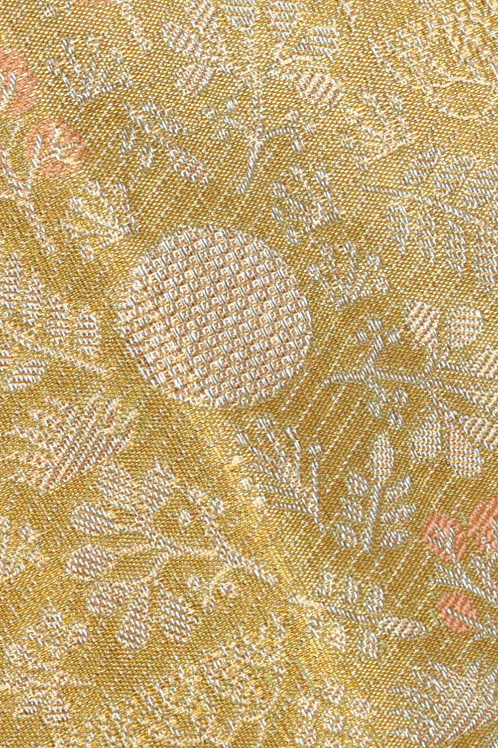 Image of Kanchipattu Golden Parrot Green Brocade Saree